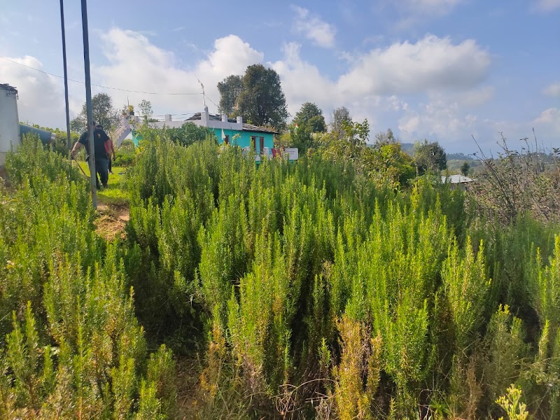 Champawat - Champawat, Uttarakhand 262523, India