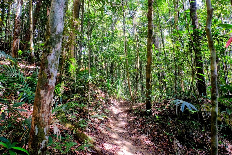 Dragon's Crest (Ngon Nak Nature Trail) - Dragon's Crest (Ngon Nak Nature Trail) Nong Thale, Mueang Krabi District, Krabi 81000, Thailand