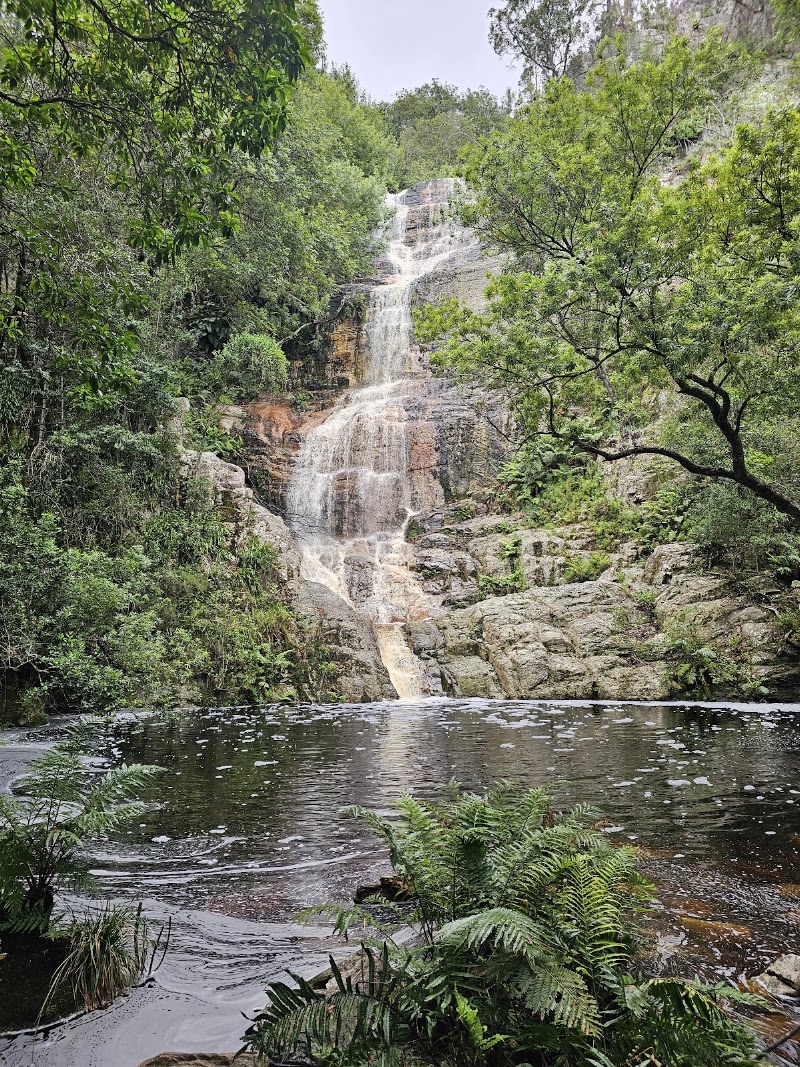 Tsitsikamma National Park - Tsitsikamma National Park, South Africa