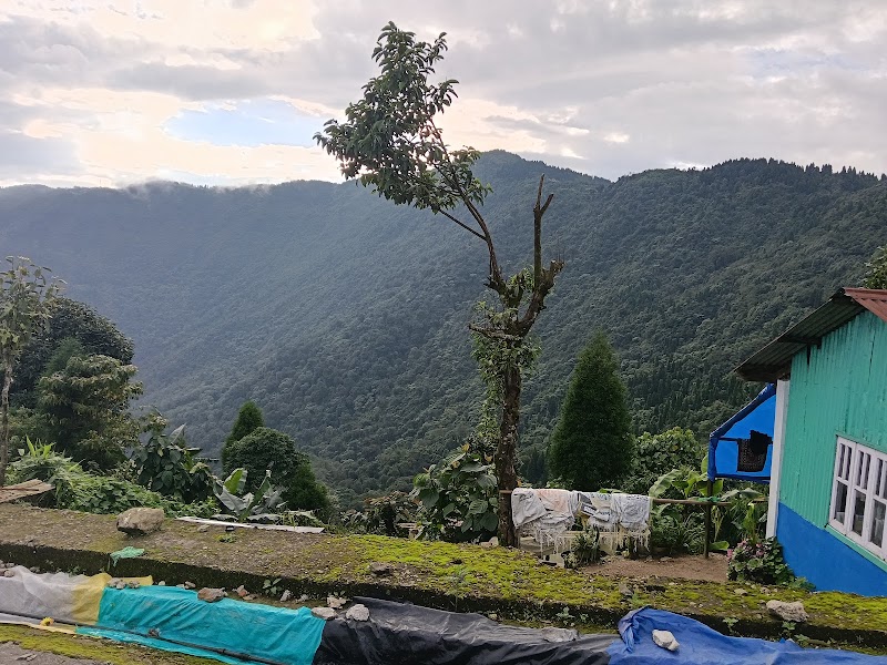Khimba homestay - Khimba homestay W88R+HM5, Mahal Diram Forest, Sittong, West Bengal 734008, India
