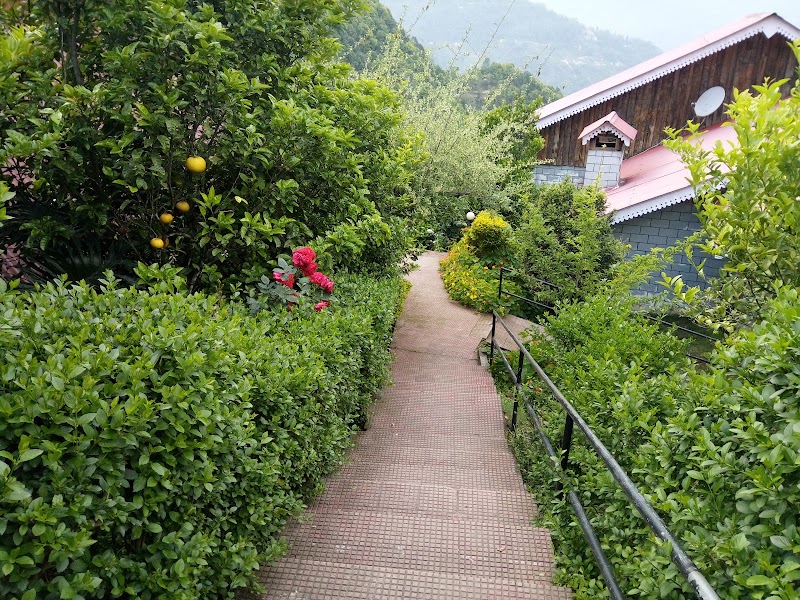 Kaluk - Kaluk Kaluk, Sikkim 737111, India