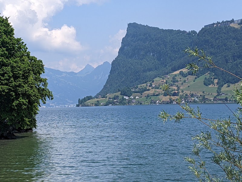 Loop Tours Luzern - Loop Tours Luzern Caritas Velostation Frohburgstrasse 5, Postfach 4337, 6002 Luzern, Switzerland