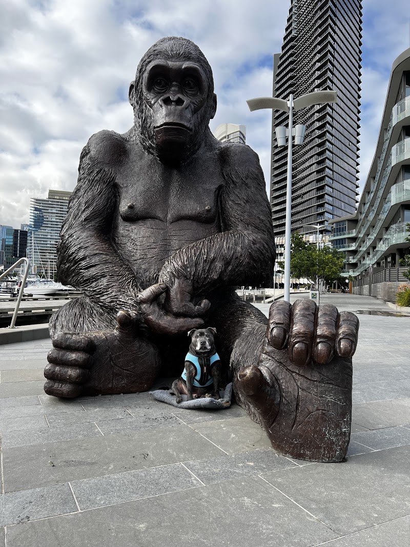 Point Park - Point Park, River Esplanade, Docklands VIC 3008, Australia