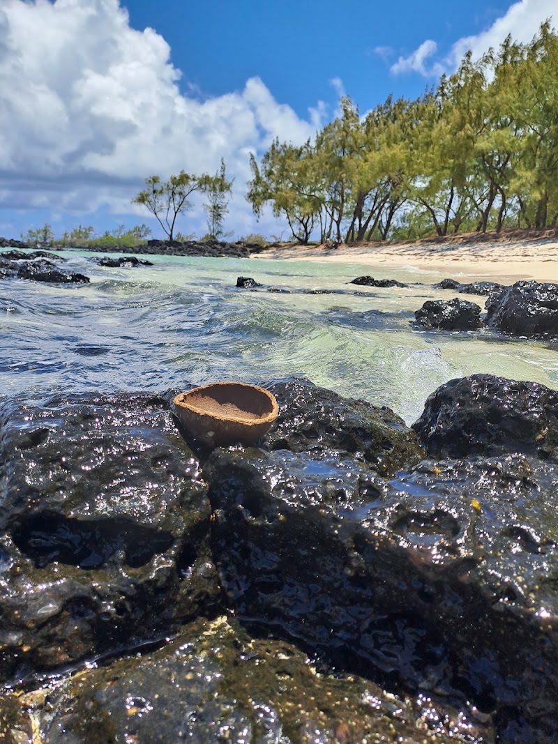 Ile aux Cerfs - Ile aux Cerfs PRV4+6J, Trou d'Eau Douce, Mauritius