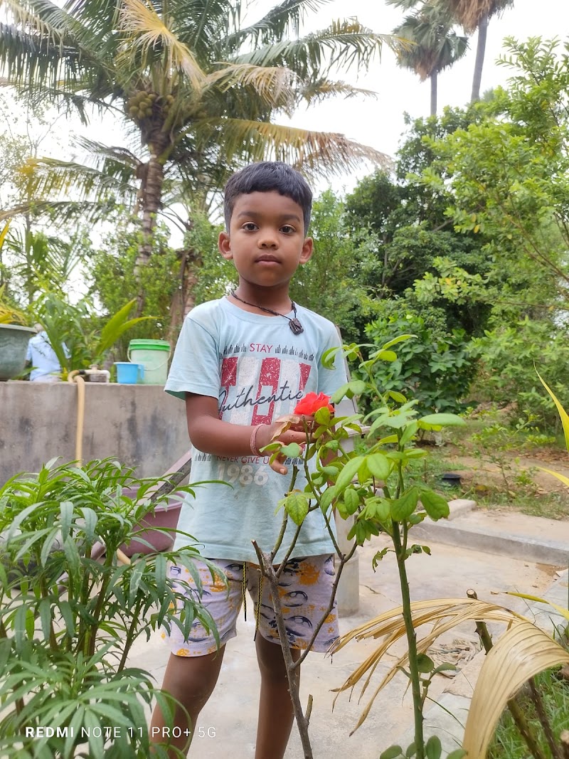 Go Green Garden - Go Green Garden, 4PHC+VQM, Bhandarpuri, Odisha 768042, India