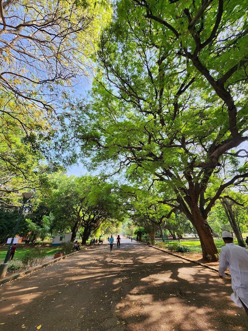Peek Into Nature - Peek Into Nature 21, Papaiah St, Doddamavalli, Mavalli, Bengaluru, Karnataka 560004, India