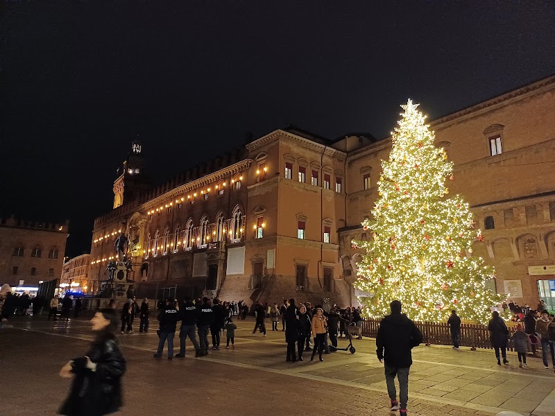Palazzo Re Enzo - Palazzo Re Enzo Piazza del Nettuno, 1/C, 40125 Bologna BO, Italy