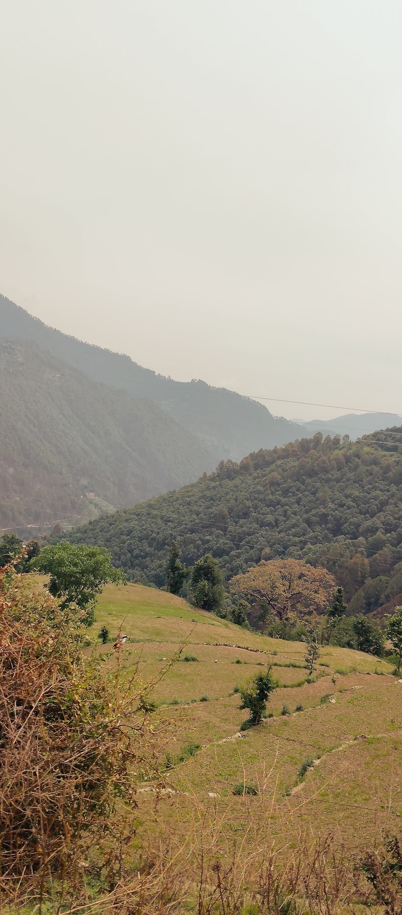 Tharali - Tharali Dewal Rd, Tharali, Ashothi, Uttarakhand 246481, India