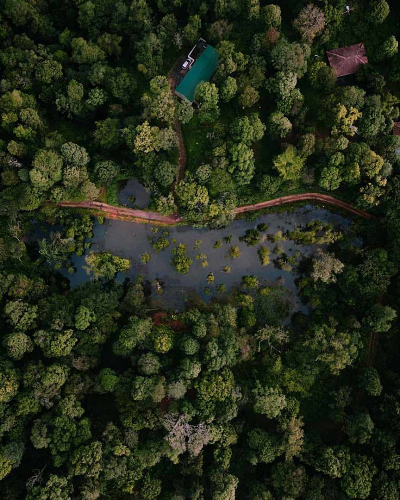 Wayanad resorts
