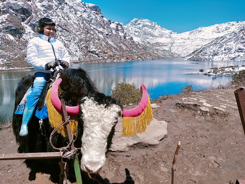 Tsongmo Lake - Tsongmo Lake, Sikkim 737102