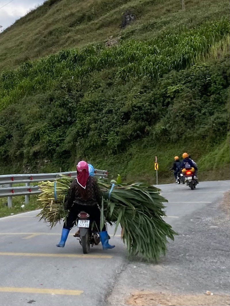 Ha Giang Adventure - Ha Giang Adventure Thôn Cao Bành, Hà Giang 1, Tuyên Quang 31000, Vietnam