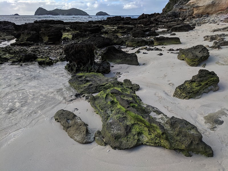 Neds Beach - Neds Beach, New South Wales, Australia