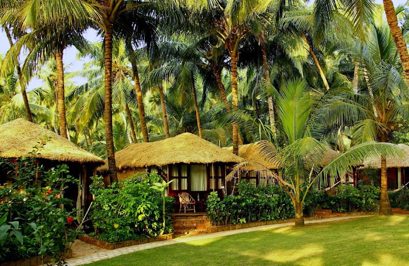 Ciarans - Ciarans, H:no. 233/A, Palolem Beach, Palolem Main entrance of Palolem Beach, 4th property on the Left, Palolem, Canacona, Goa 403702, India