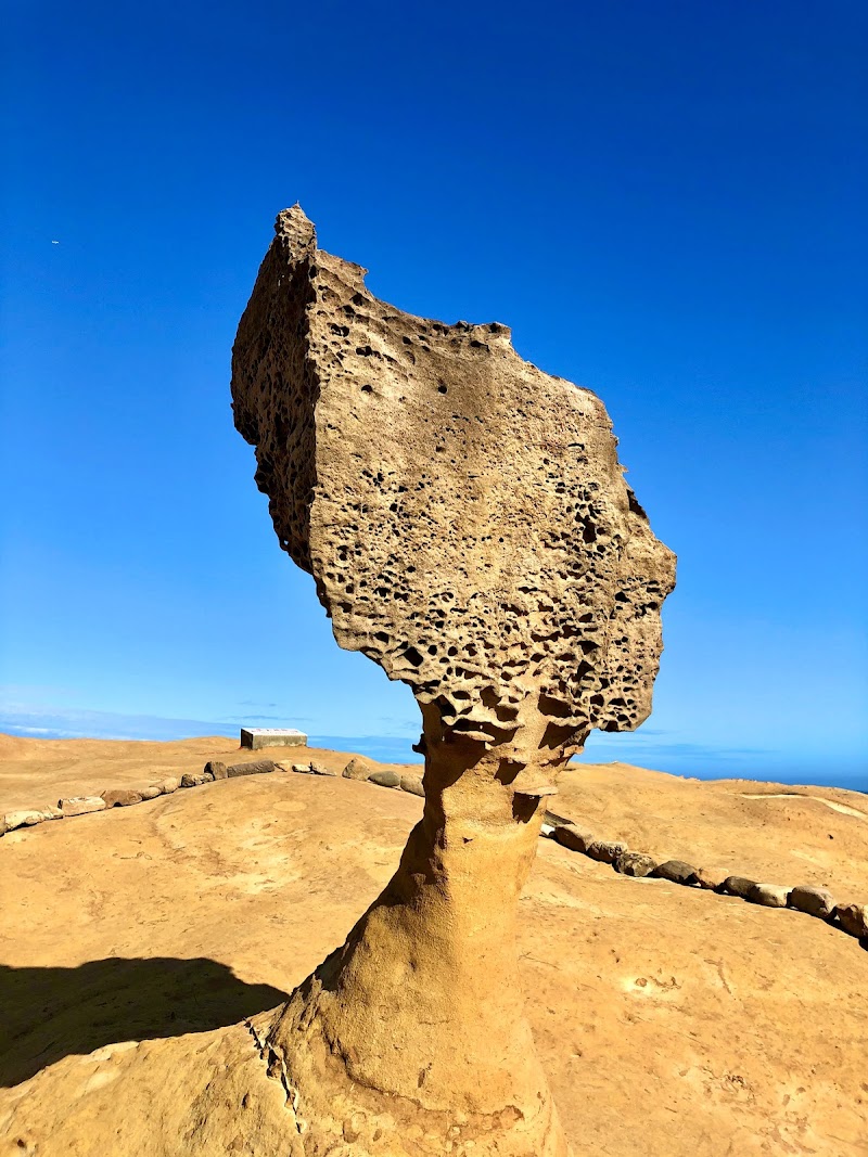 Queen's Head