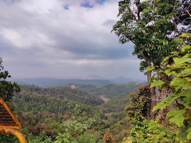 Coorg Travel Stay and Coorg Travel Guide - Coorg Travel Stay and Coorg Travel Guide CQHC+FGH, Ibnivalvadi Rural, Karnataka 571237, India