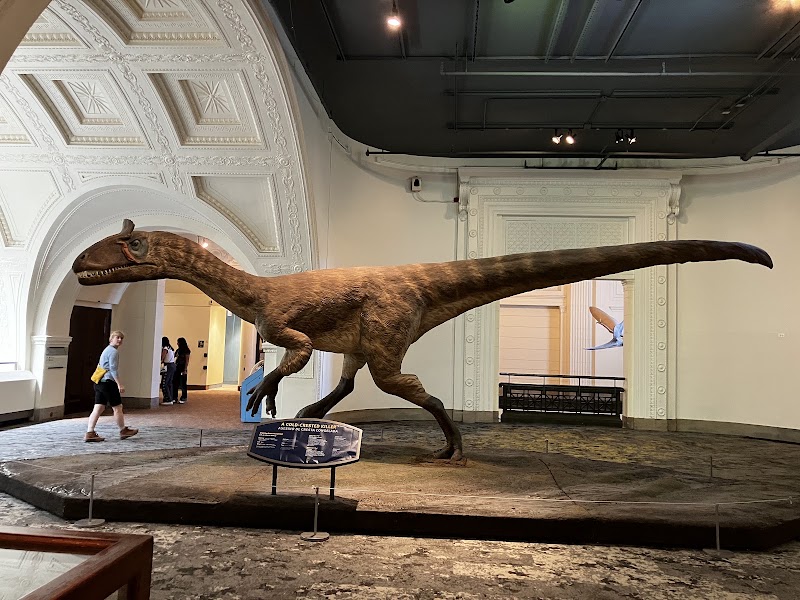 Field Museum - Field Museum, 1400 S Lake Shore Dr, Chicago, IL 60605, USA