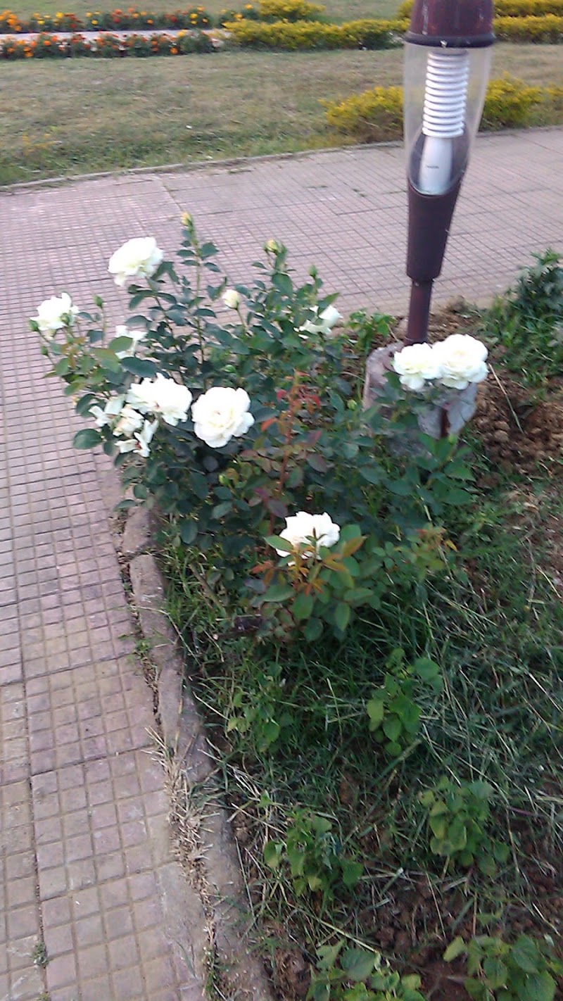 Rose Garden - Rose Garden, 48P4+V7Q, NTPC Twp Sipat, Chhattisgarh 495555, India