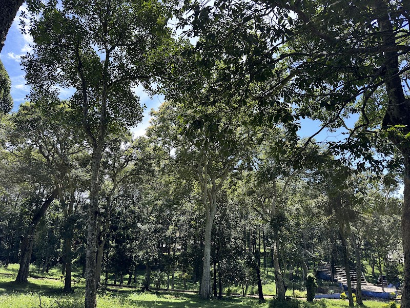 Yercaud Rose Garden - Yercaud Rose Garden Q6C2+R82, Yercaud, Tamil Nadu 636601, India