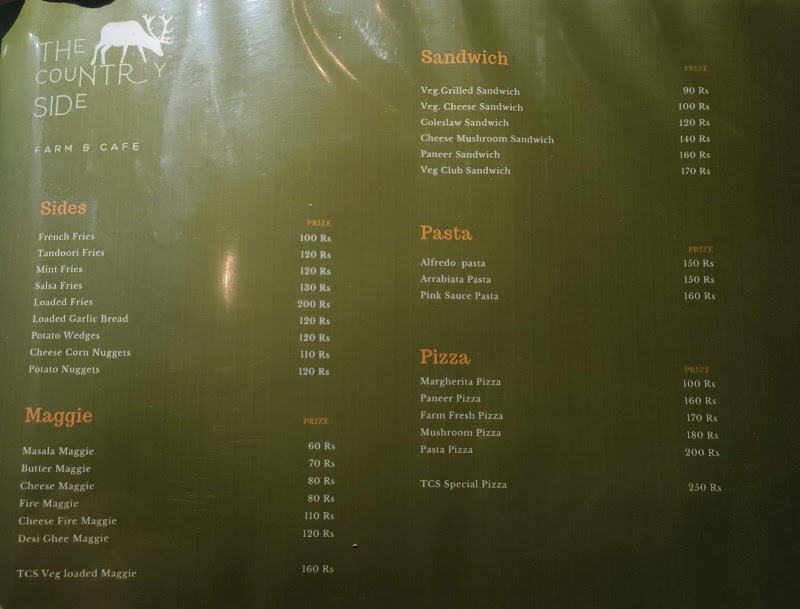 THE COUNTRY SIDE - FARM & CAFE - THE COUNTRY SIDE - FARM & CAFE 1, Liyo ka, Guda, Badi Lake Rd, near Villa Le Palm resort, Udaipur, Liyo Ka Gurha, Rajasthan 313011, India