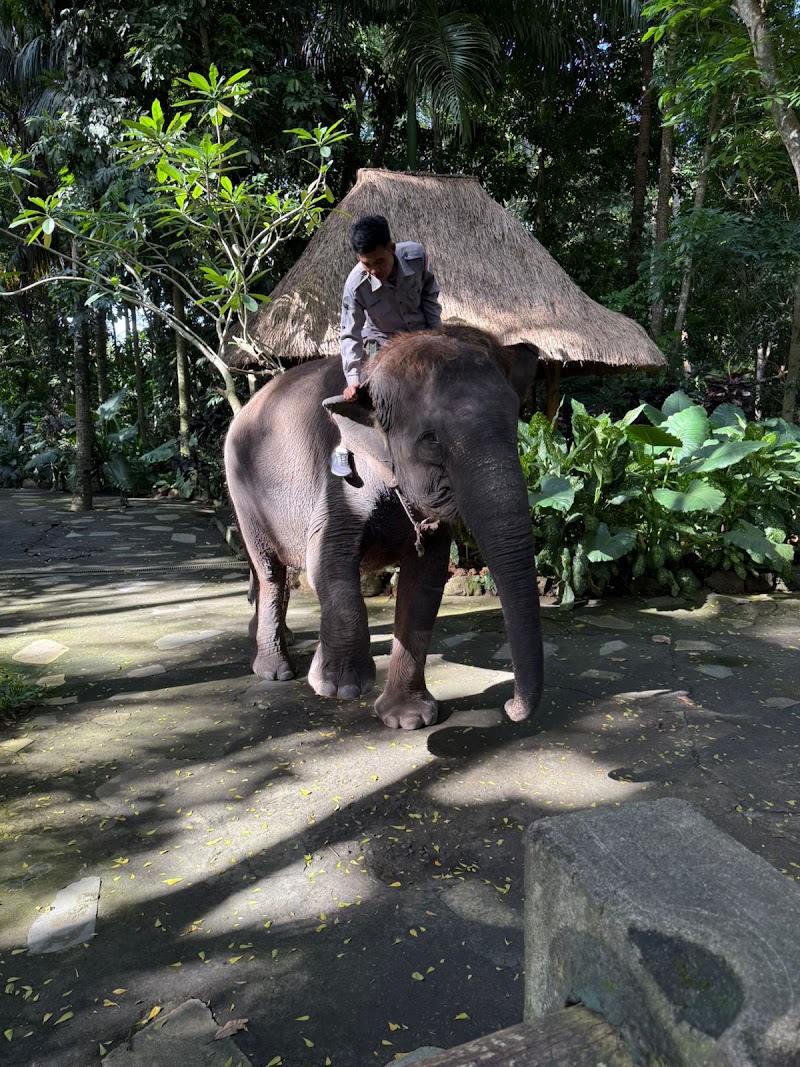 Lombok Hiking Tour – Mount Rinjani Trekking Guide Organizer And Tour Around Islnad Of Lombok - Lombok Hiking Tour – Mount Rinjani Trekking Guide Organizer And Tour Around Islnad Of Lombok, Jl. Raya Bayan, Anyar, Kec. Bayan, Kabupaten Lombok Utara, Nusa Tenggara Bar. 83354, Indonesia