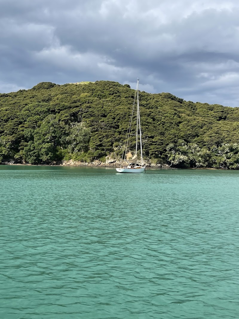 Bay of Islands Adventures Ltd - Bay of Islands Adventures Ltd The Wharf, 69 Marsden Road, Paihia 0200, New Zealand