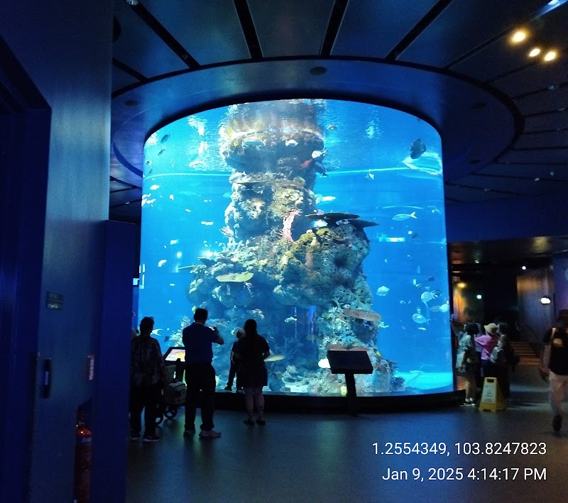 Singapore Oceanarium - Singapore Oceanarium 24 Sentosa Gateway, Sentosa Island, Singapore 098137