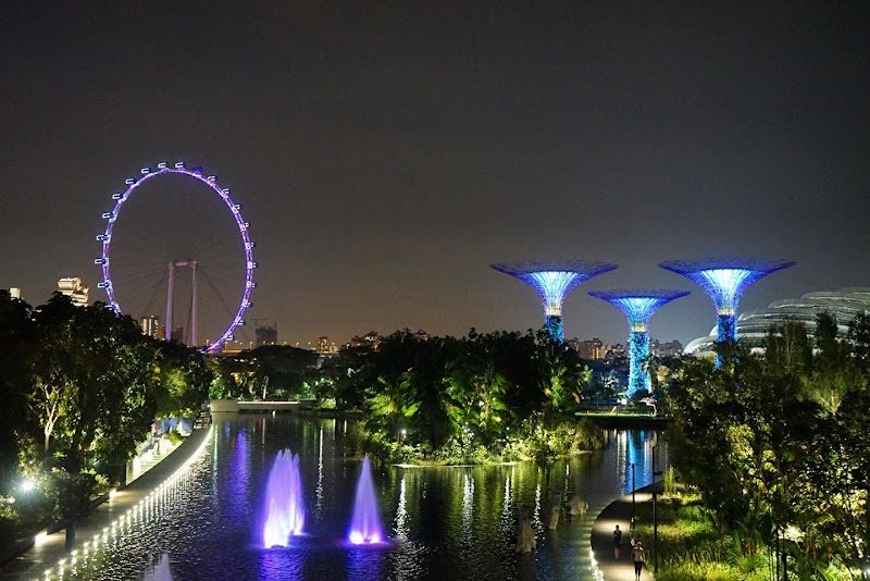 Supertree Grove - Supertree Grove 18 Marina Gardens Dr, Singapore 018953
