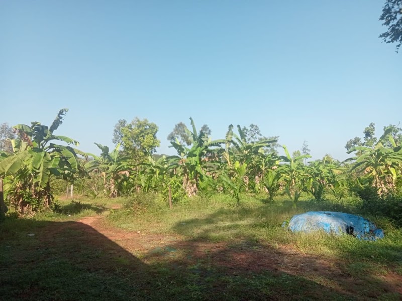 MS HOME STAY - MS HOME STAY M13°21'01.0, N 74°58, 25.3"E, near Sanvi Hollowblock Industries, Kantebettu, Kadthala, Karkala, Karnataka 574108, India