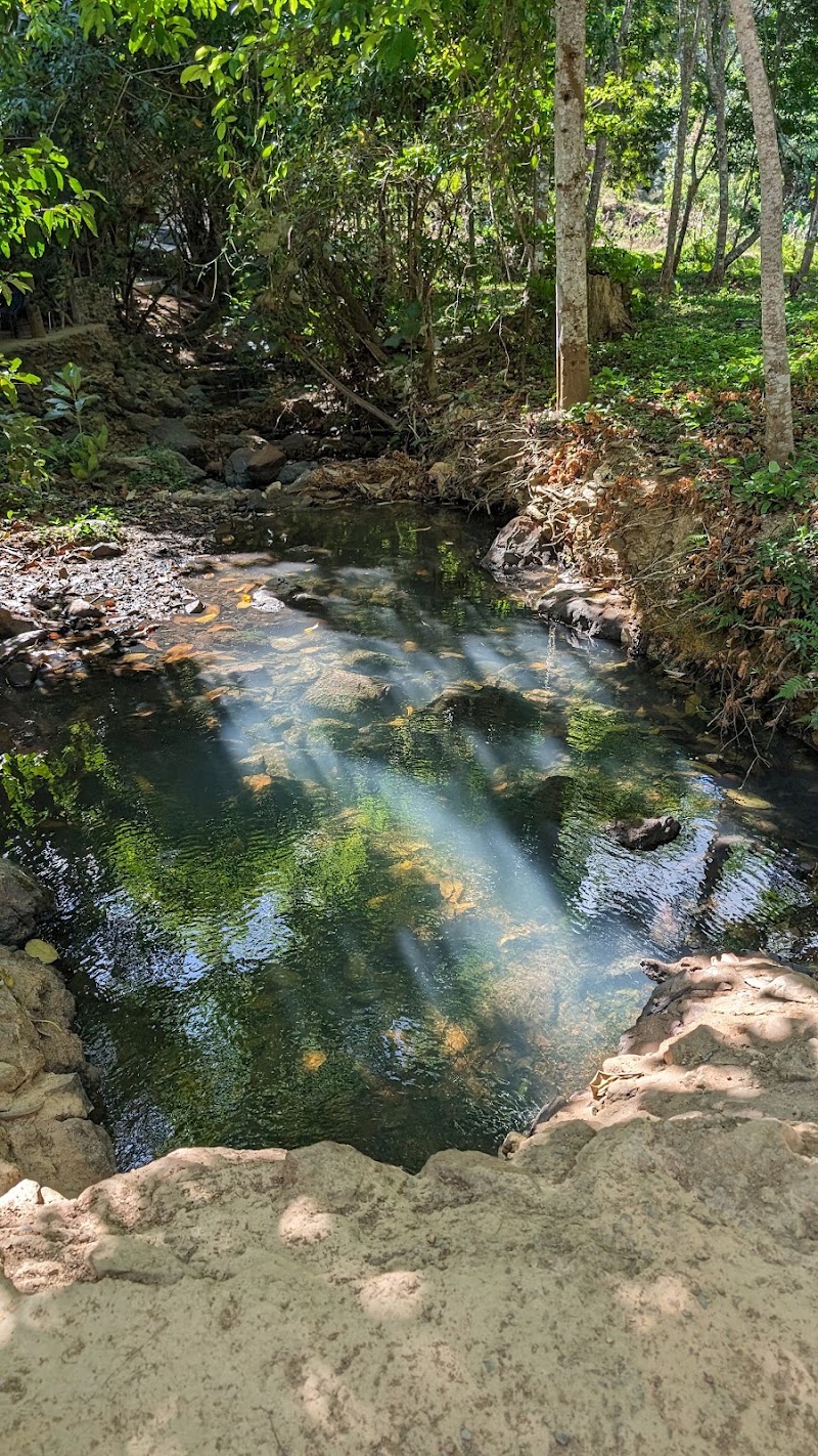 Following Giants Koh Lanta Ethical Elephant Sanctuary - Following Giants Koh Lanta Ethical Elephant Sanctuary, Klong Chak Waterfall RD, Tambon Ko Lanta Yai, Amphoe Ko Lanta, Chang Wat Krabi 81150, Thailand