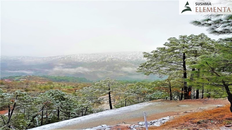 Kasauli Hills - Kasauli Hills, Kasauli Chowk, Dharampur, Himachal Pradesh 173209, India