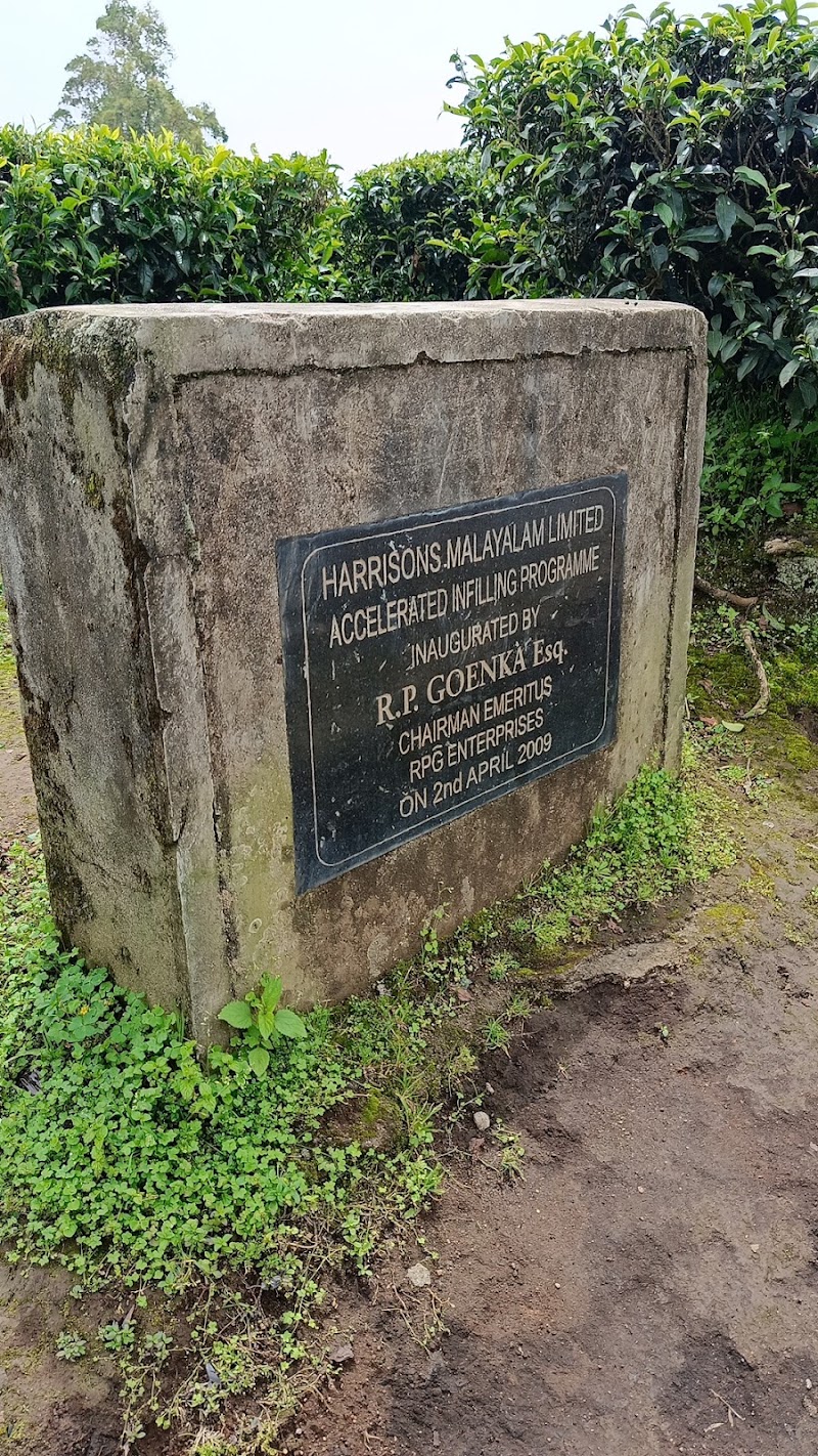 Door of Heaven - Door of Heaven 3469+R9, Kannan Devan Hills, Devikulam, Kerala 685613, India