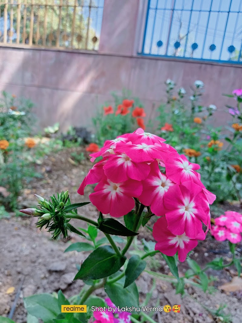 Tau devi lal park - Tau devi lal park Model Town Extension, 4QH2+5M7, Udyog Nagar, New Model Town, Model Town Extension, New Model Town Exyension, New Model Town, Hisar, Haryana 125005, India
