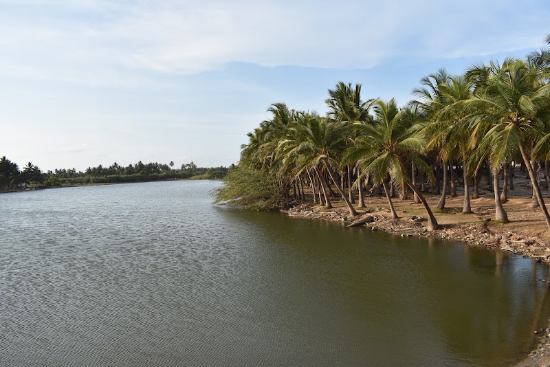 Paradise Beach - Paradise Beach Sandunes, Pudukuppam, Puducherry 605007, India