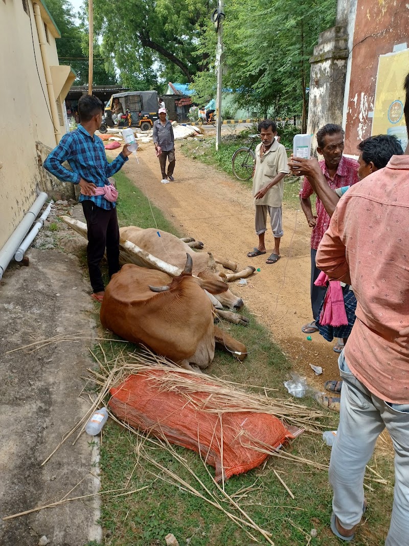 P R Goshala - P R Goshala, Goshala chowk, PF4J+6J9, near BED collage, Balangir, Odisha 767001, India