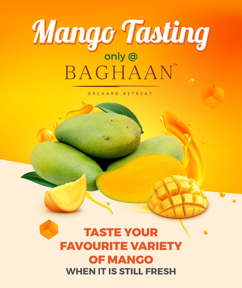 Baghaan Orchard Retreat - Baghaan Orchard Retreat, Kachraut, Uttar Pradesh 203403, India