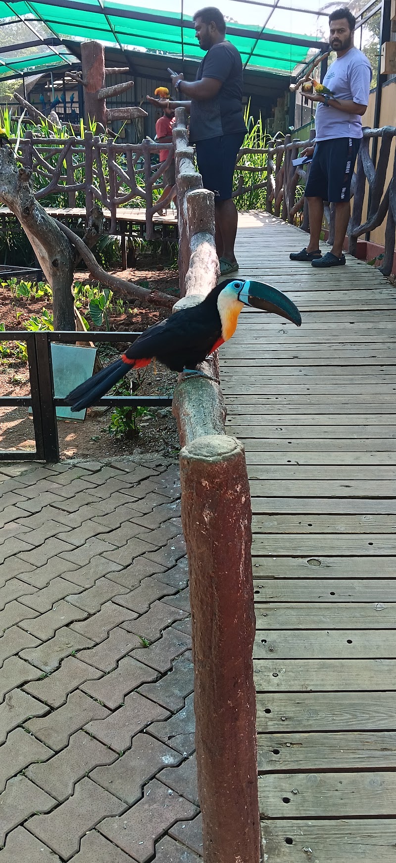 Yaatra Tours - Yaatra Tours 2nd floor, NO:6, 100 Feet Rd, near RBL Bank, Ellaipillaichavady, Sithananda Nagar, Ellaipillaichavadi, Thanthai Periyar Nagar, Puducherry, 605005, India