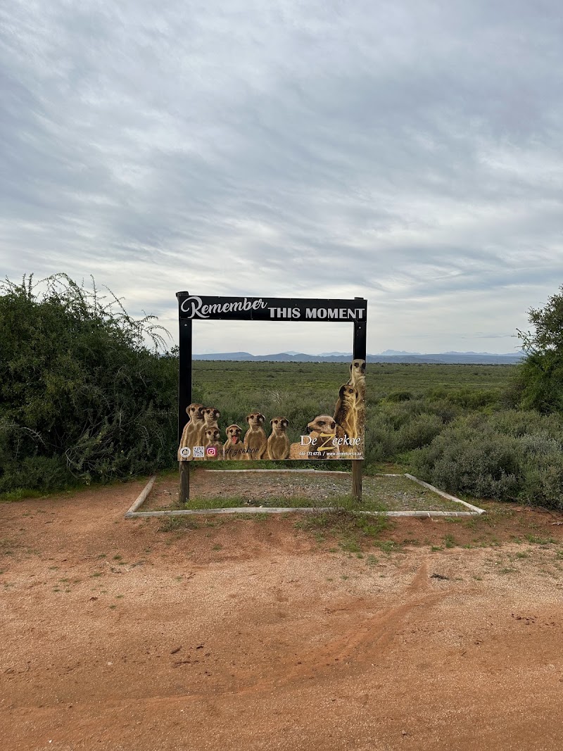 Meerkat Adventures - Meerkat Adventures, R62, Oudtshoorn, 6625, South Africa