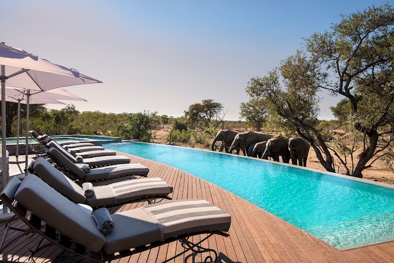 andBeyond Ngala Private Game Reserve - andBeyond Ngala Private Game Reserve, Timbavati, 1380, South Africa