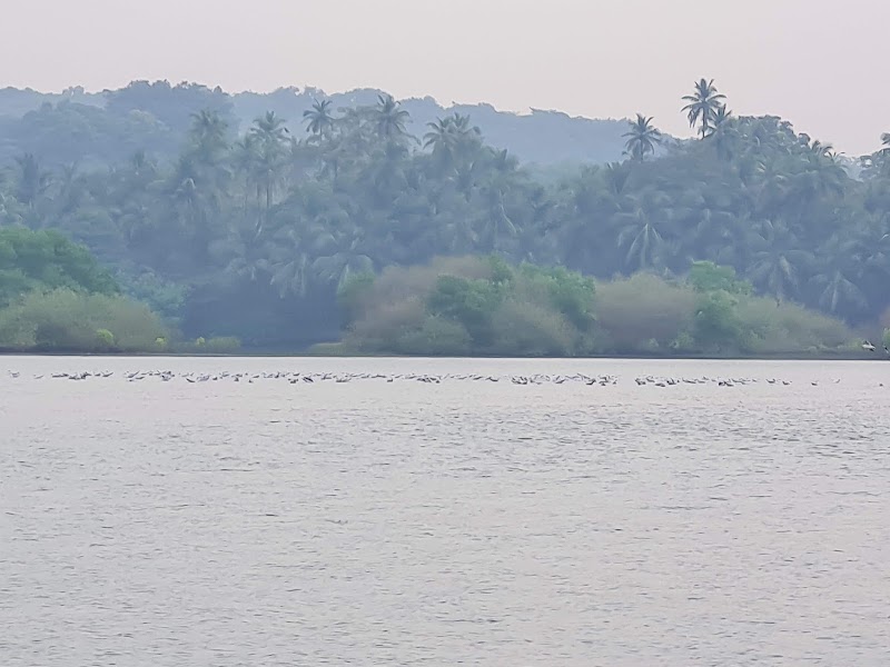 Tarkarli scuba point - Tarkarli scuba point, XFWC+XF9, Devbag, India