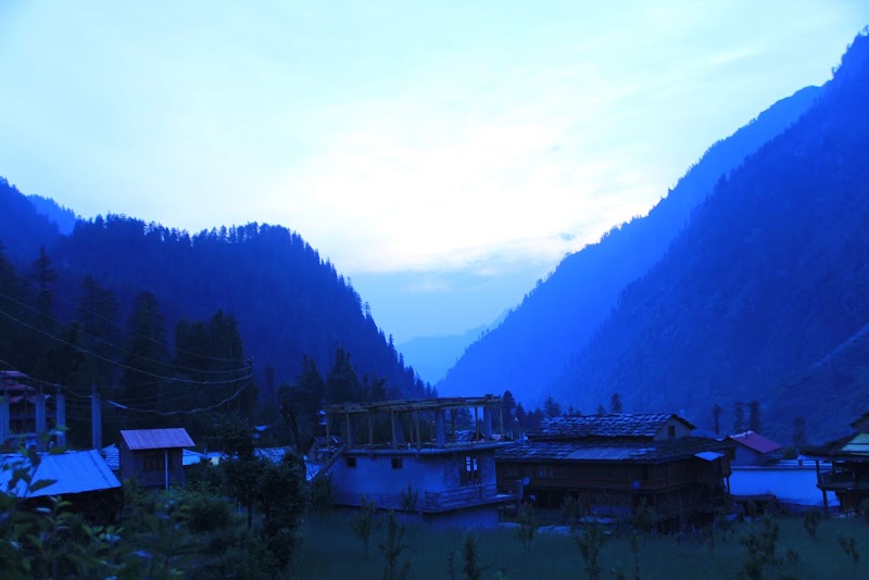 Old Forest View Guest House and Restaurant, Pulga - Old Forest View Guest House and Restaurant, Pulga Pulga, Sosan, Himachal Pradesh 175105, India