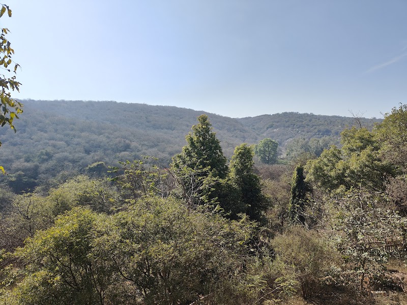Bhondsi Nature Park - Bhondsi Nature Park 926V+XPP, Bharat Yatra Kendra Rd, Haryana 122101, India