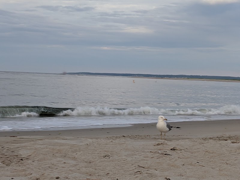 Crane Beach - Crane Beach Crane Beach, Ipswich, MA, USA