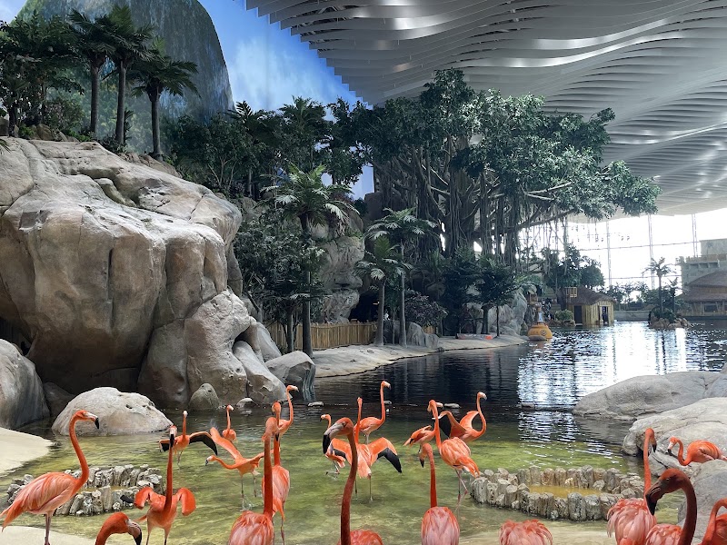 SeaWorld Abu Dhabi | سي وورلد جزيرة ياس، أبوظ - SeaWorld Abu Dhabi | سي وورلد جزيرة ياس، أبوظ Yas Island - YS6 - Abu Dhabi - United Arab Emirates