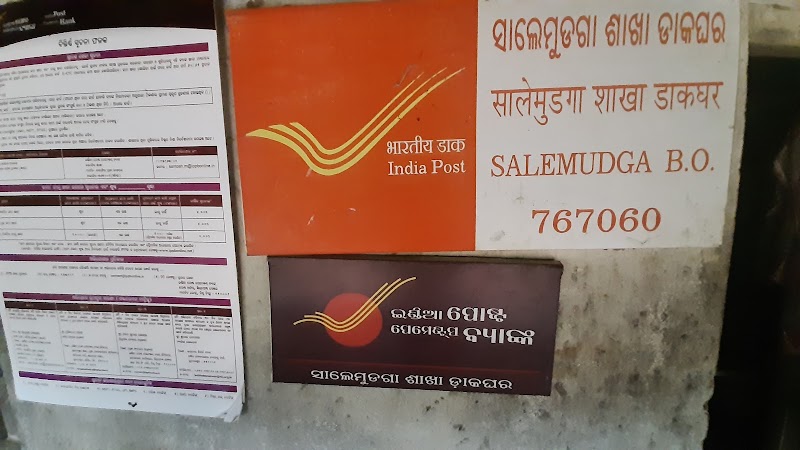 SALEMUDGA BO - SALEMUDGA BO, CP8V+HGR, Charpani, Odisha 767060, India