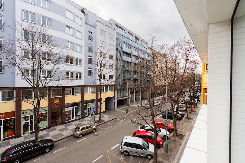 Luxury & air-conditioned Osko Apartment near the city center - Luxury & air-conditioned Osko Apartment near the city center, Křižíkova 703/97, Karlín, 186 00 Praha-Praha 8, Czechia