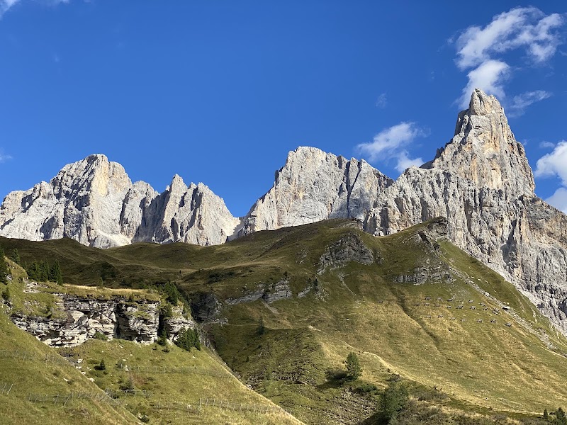 Parco Naturale Paneveggio Pale di San Martino - Parco Naturale Paneveggio Pale di San Martino Località Castelpietra, 2, 38054 Primiero San Martino di Castrozza TN, Italy