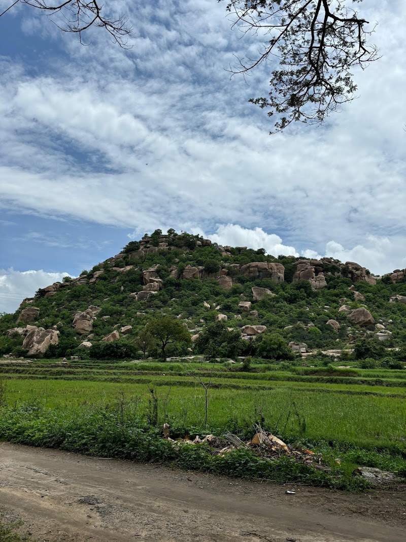 Cocogreen Homestay Hampi - Cocogreen Homestay Hampi I. B Rd, Sangapur, Karnataka 583227, India