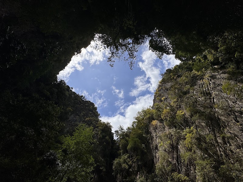 Emerald Cave - Emerald Cave, 92110, Thailand