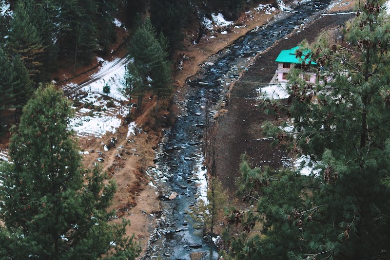 The Vibes Homestay - The Vibes Homestay, Post office, Gadagushain, Gadagusshain, Shukad, Himachal Pradesh 175123, India