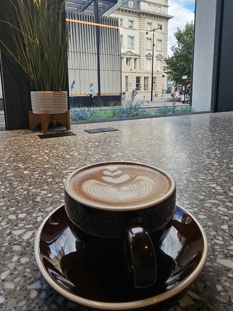 Treelogy Speciality Coffee Paddington - Treelogy Speciality Coffee Paddington 50 Eastbourne Terrace, London W2 6LG, UK